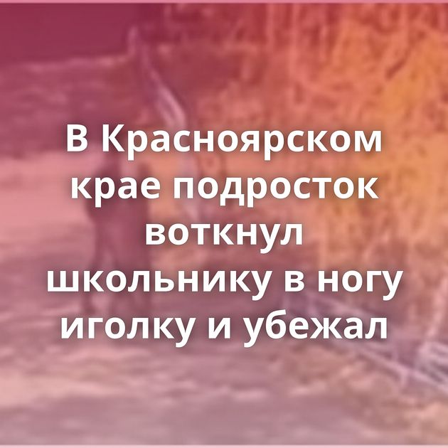 В Красноярском крае подросток воткнул школьнику в ногу иголку и убежал