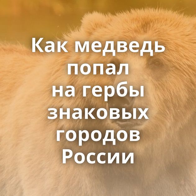 Как медведь попал на гербы знаковых городов России
