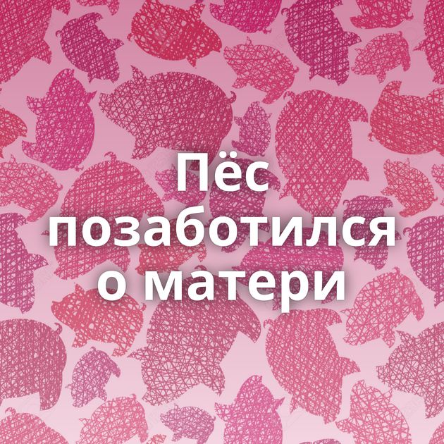 Пёс позаботился о матери
