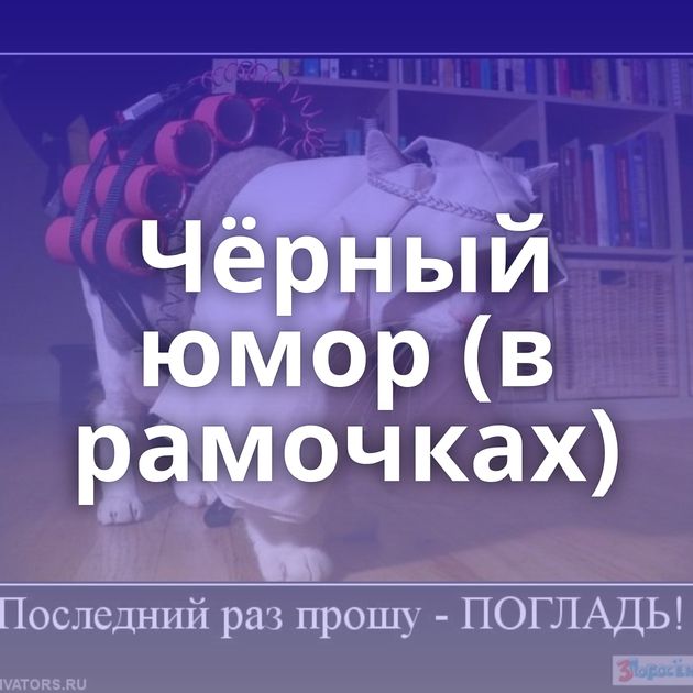 Чёрный юмор (в рамочках)