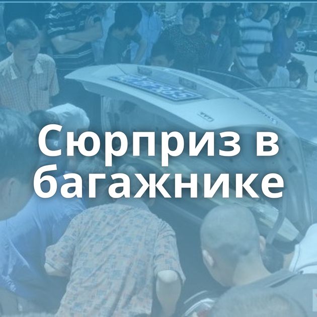 Сюрприз в багажнике