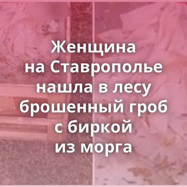 Женщина на Ставрополье нашла в лесу брошенный гроб с биркой из морга