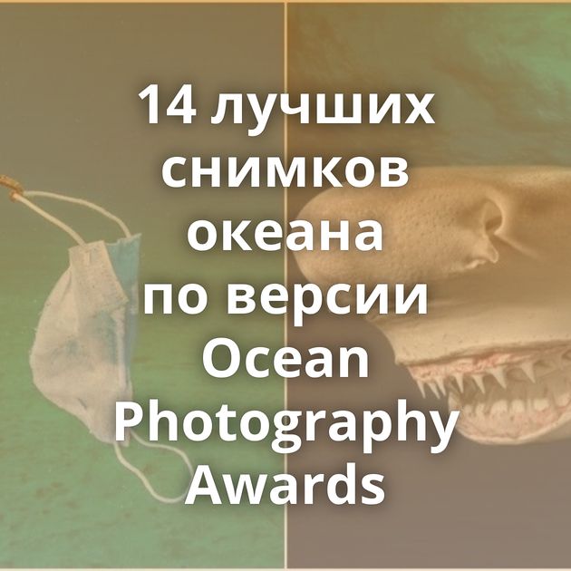 14 лучших снимков океана по версии Ocean Photography Awards