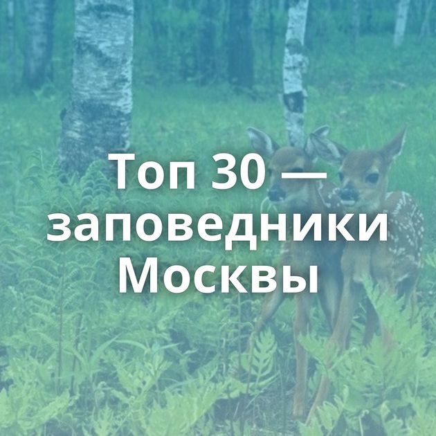 Топ 30 — заповедники Москвы