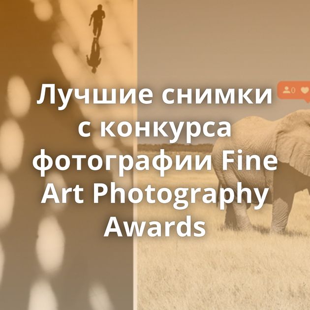 Лучшие снимки с конкурса фотографии Fine Art Photography Awards