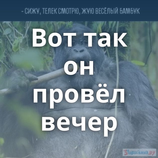 Вот так он провёл вечер