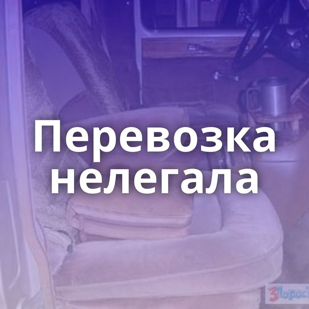 Перевозка нелегала