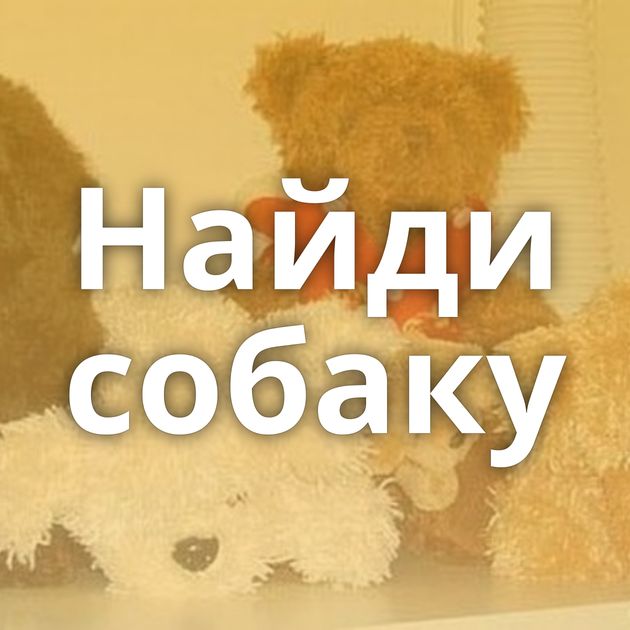 Найди собаку
