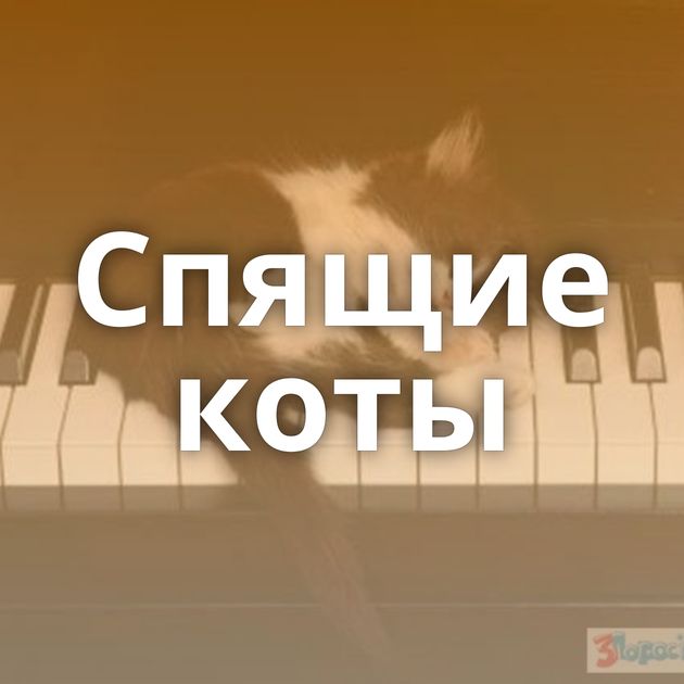 Спящие коты