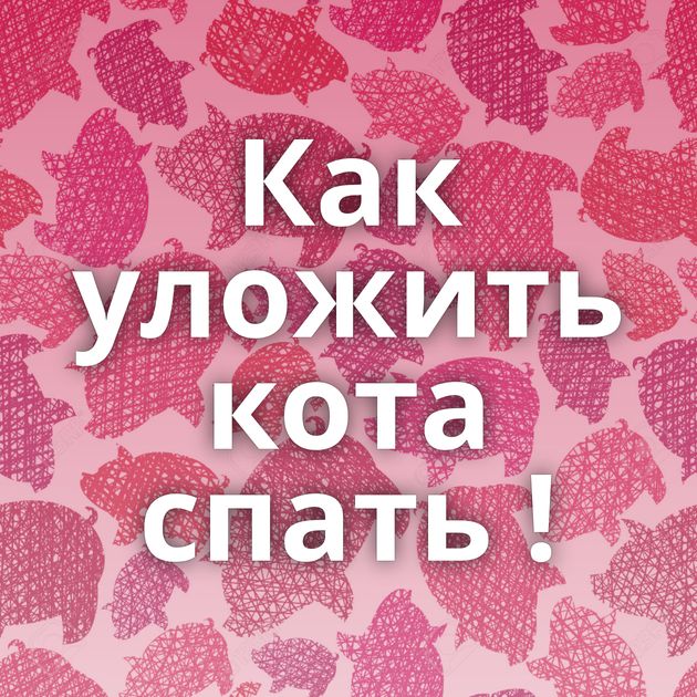Как уложить кота спать !