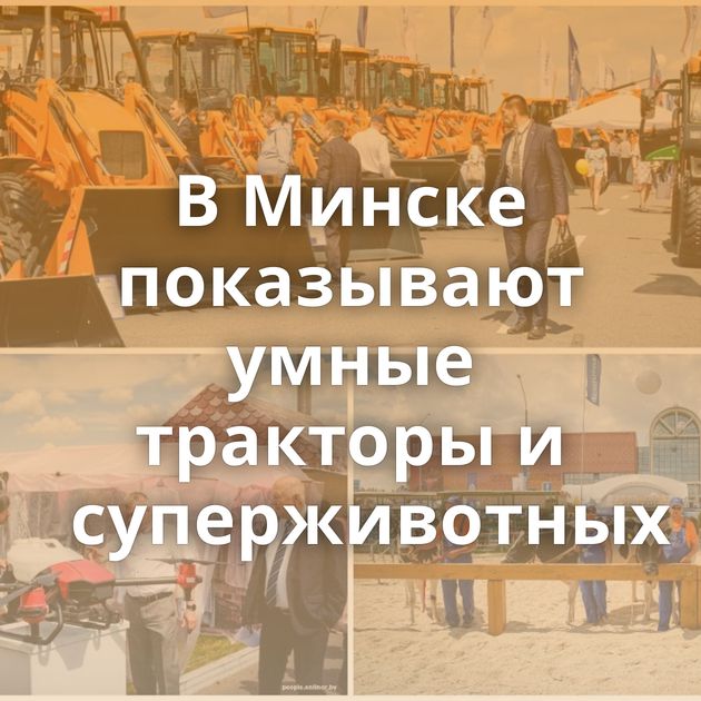 В Минске показывают умные тракторы и суперживотных