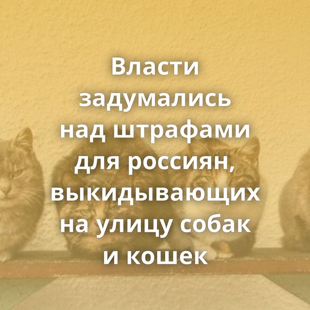 Власти задумались над штрафами для россиян, выкидывающих на улицу собак и кошек