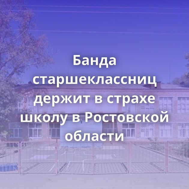 Банда старшеклассниц держит в страхе школу в Ростовской области