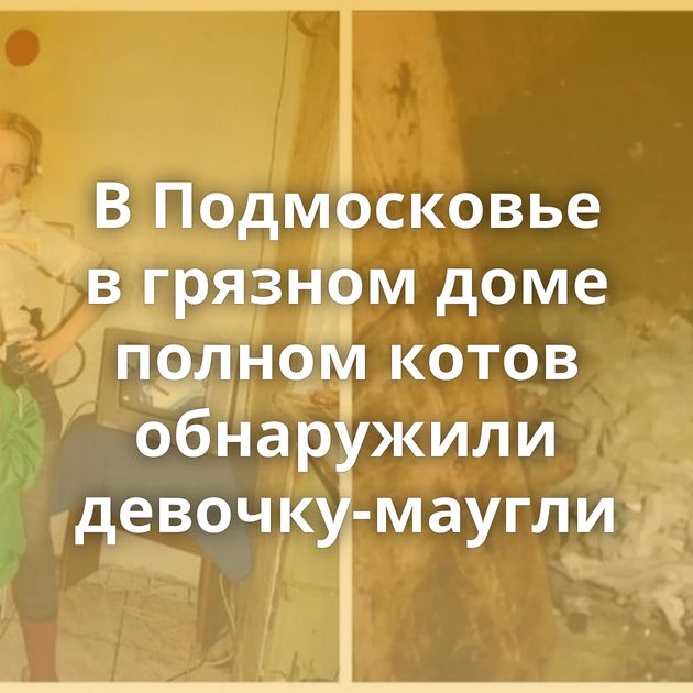 В Подмосковье в грязном доме полном котов обнаружили девочку-маугли