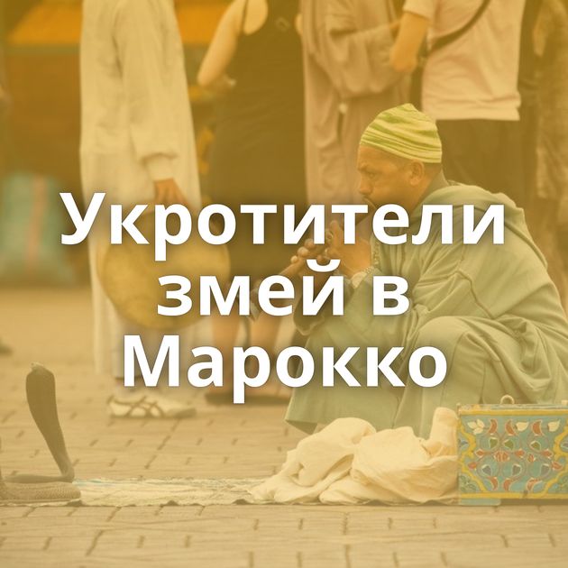Укротители змей в Марокко