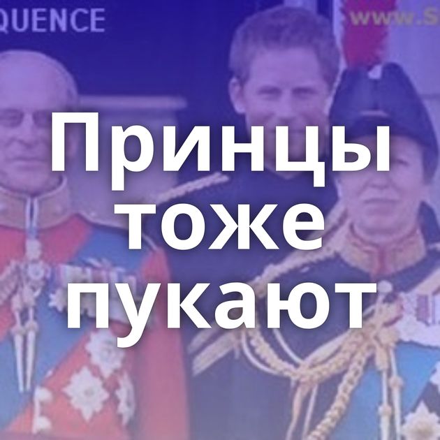 Принцы тоже пукают