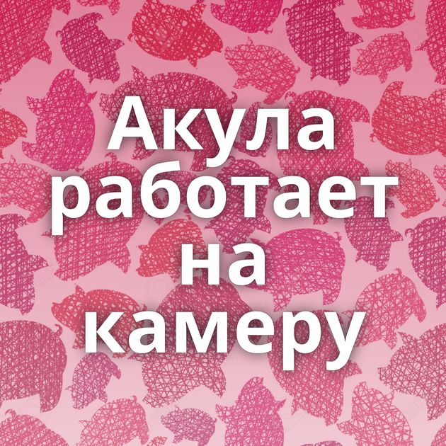 Акула работает на камеру