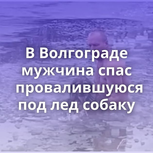 В Волгограде мужчина спас провалившуюся под лед собаку