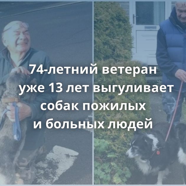74-летний ветеран уже 13 лет выгуливает собак пожилых и больных людей