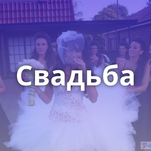 Свадьба