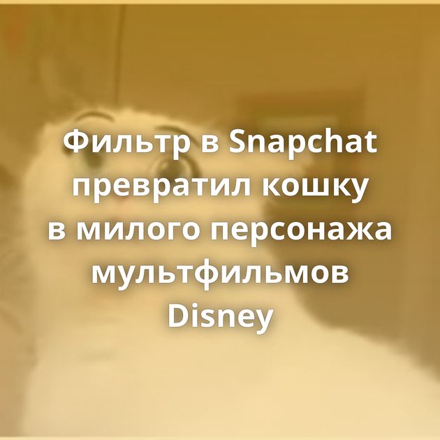 Фильтр в Snapchat превратил кошку в милого персонажа мультфильмов Disney