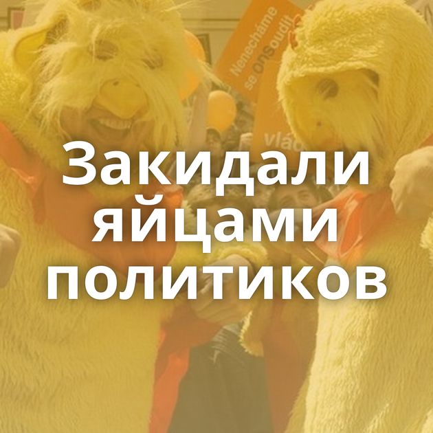 Закидали яйцами политиков