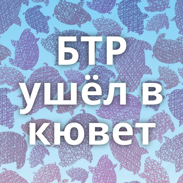 БТР ушёл в кювет