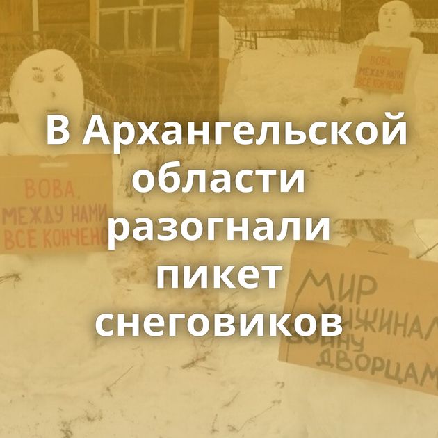 В Архангельской области разогнали пикет снеговиков