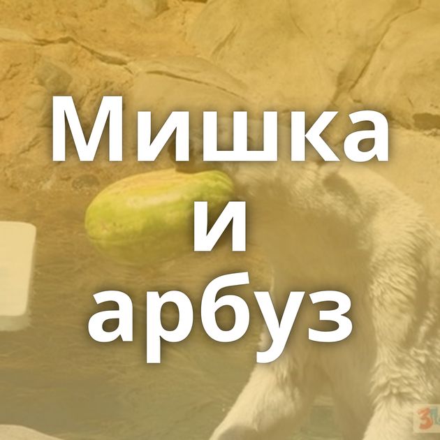 Мишка и арбуз
