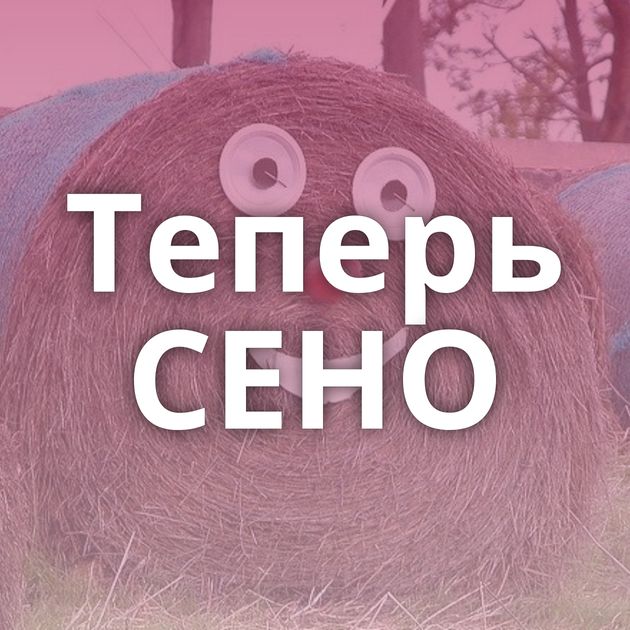 Теперь СЕНО