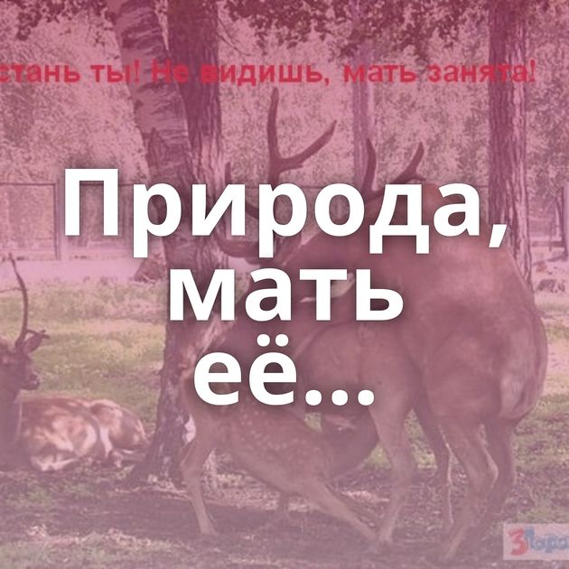 Природа, мать её...