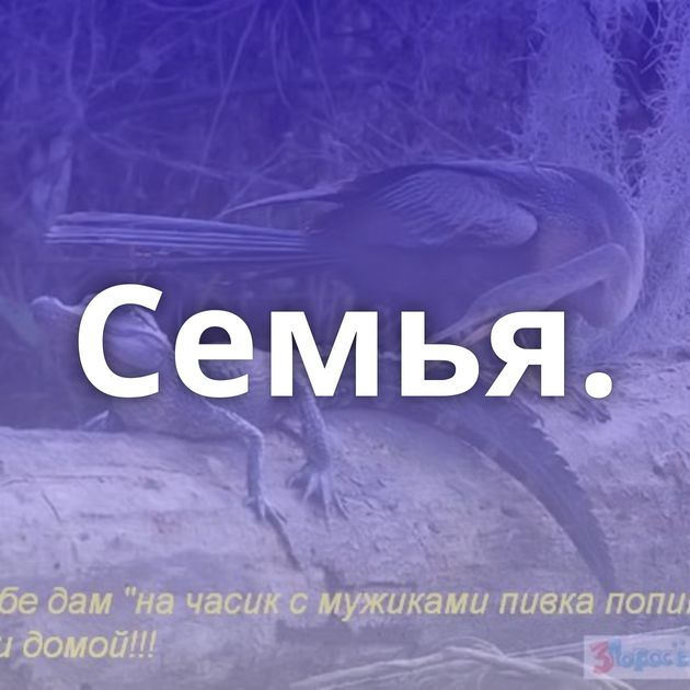 Семья.