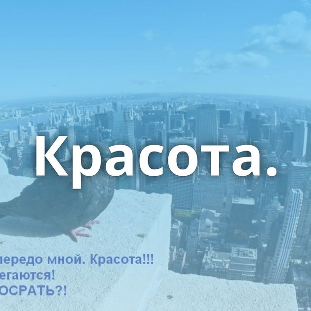 Красота.