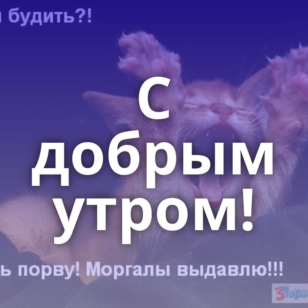 С добрым утром!