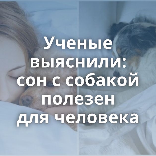 Ученые выяснили: сон с собакой полезен для человека