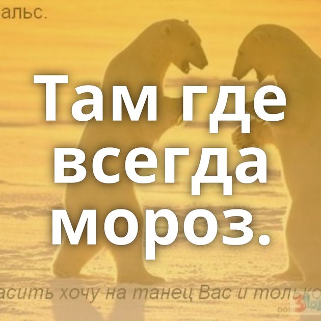 Там где всегда мороз.