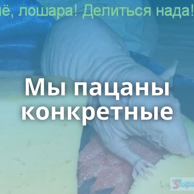 Мы пацаны конкретные