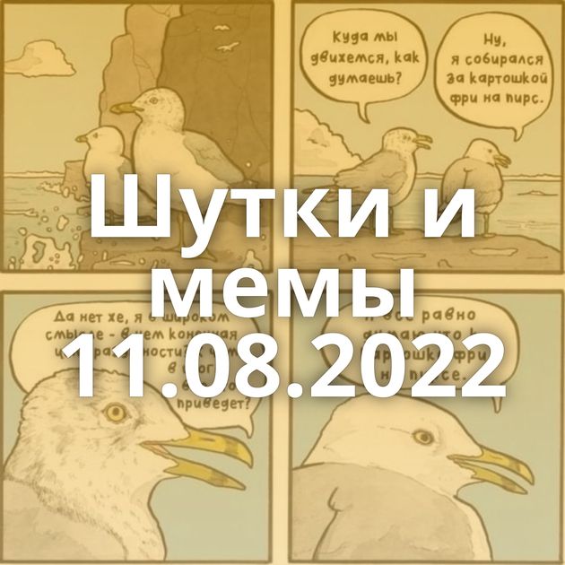Шутки и мемы 11.08.2022