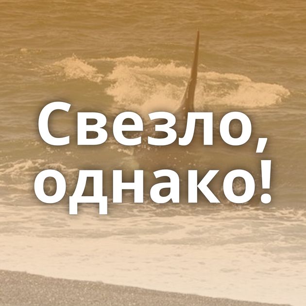 Свезло, однако!