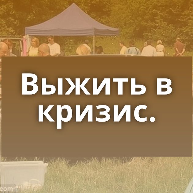 Выжить в кризис.
