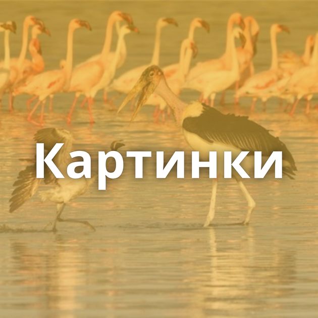 Картинки