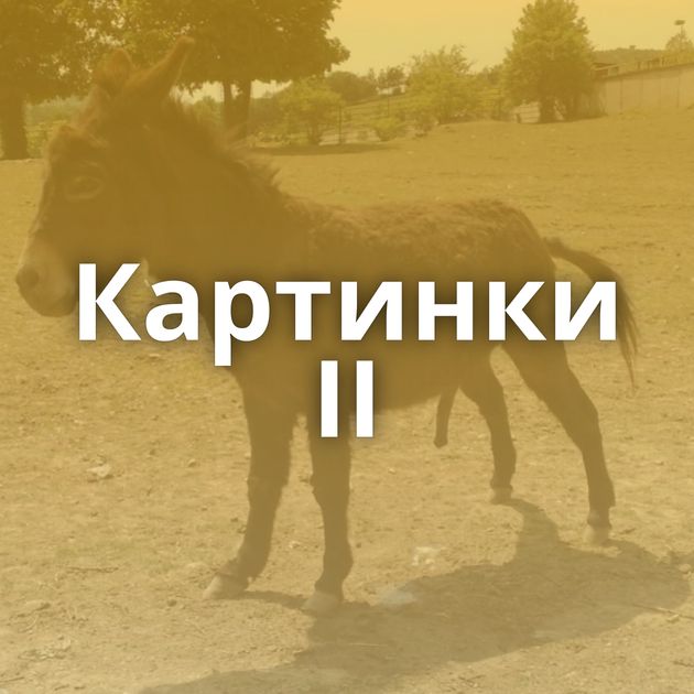 Картинки II