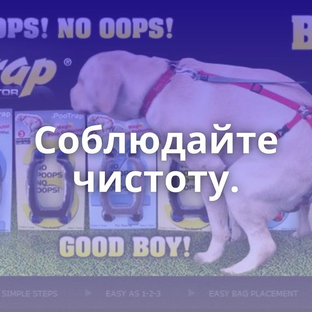Соблюдайте чистоту.