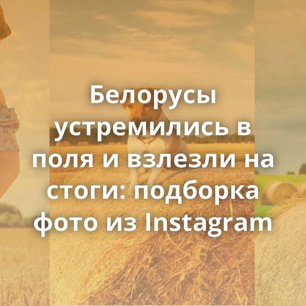 Белорусы устремились в поля и взлезли на стоги: подборка фото из Instagram