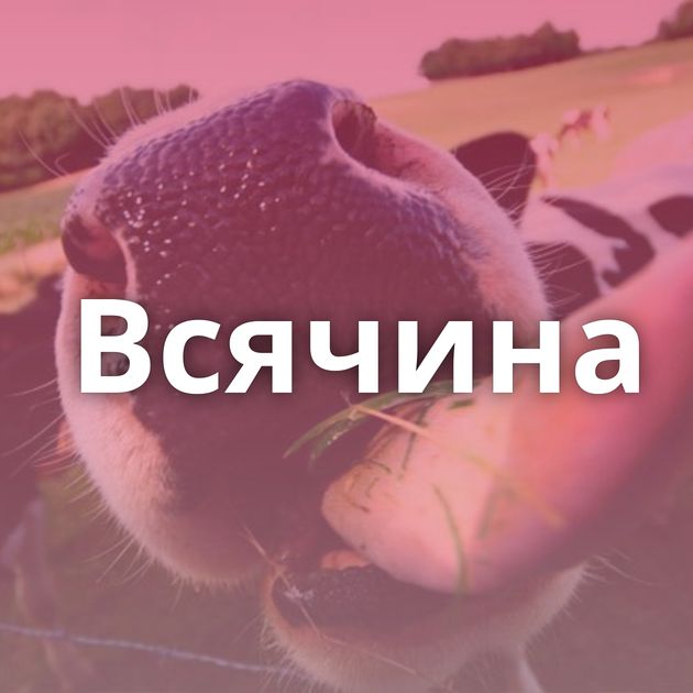 Всячина