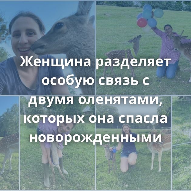 Женщина разделяет особую связь с двумя оленятами, которых она спасла новорожденными