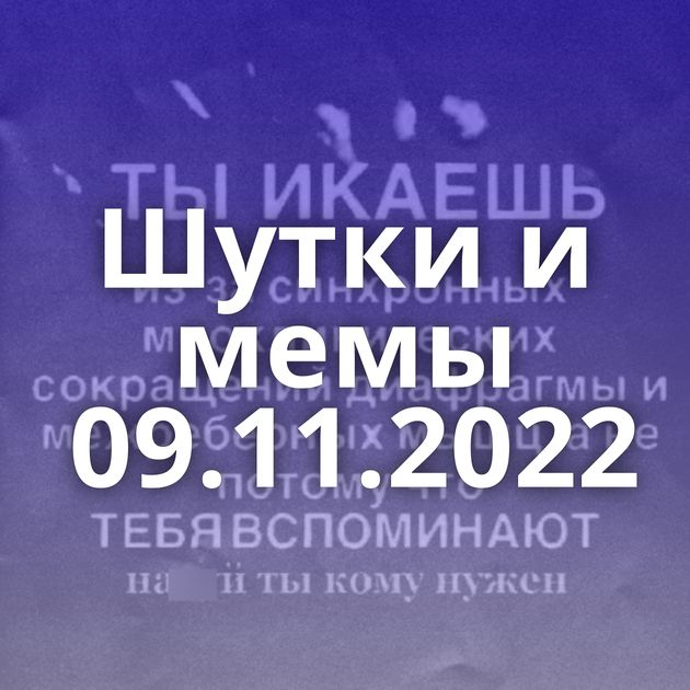 Шутки и мемы 09.11.2022