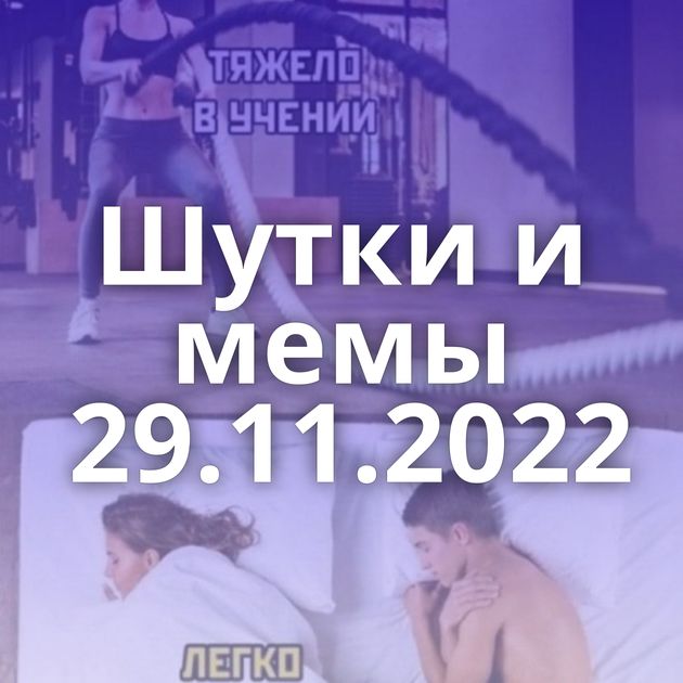 Шутки и мемы 29.11.2022