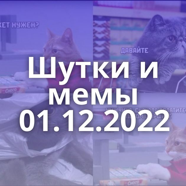 Шутки и мемы 01.12.2022