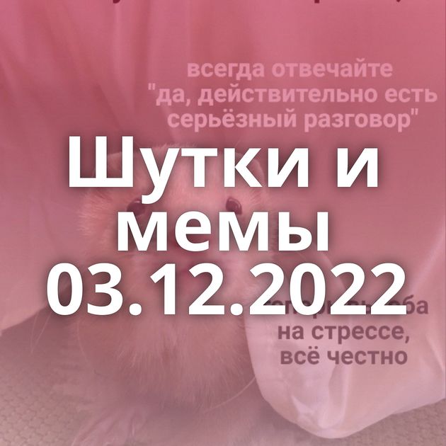 Шутки и мемы 03.12.2022